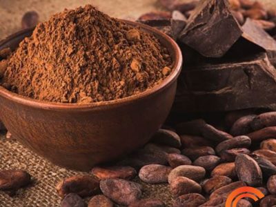 Cacao en Polvo