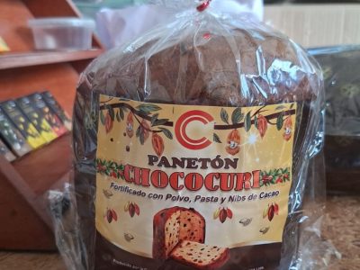 Panetón CHOCOCURI